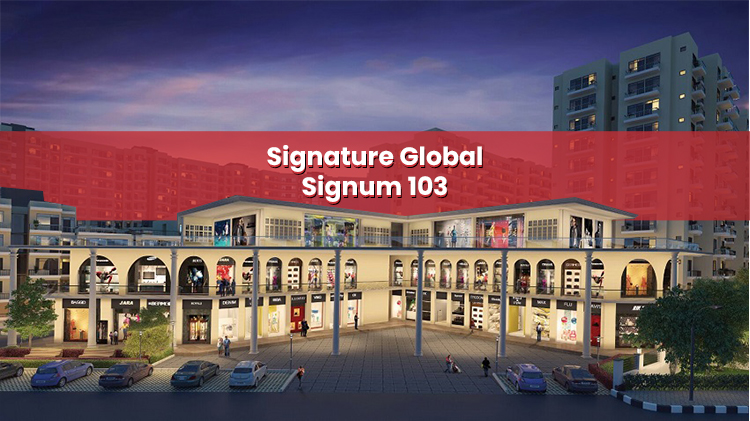 Signature-Global-Signum-103