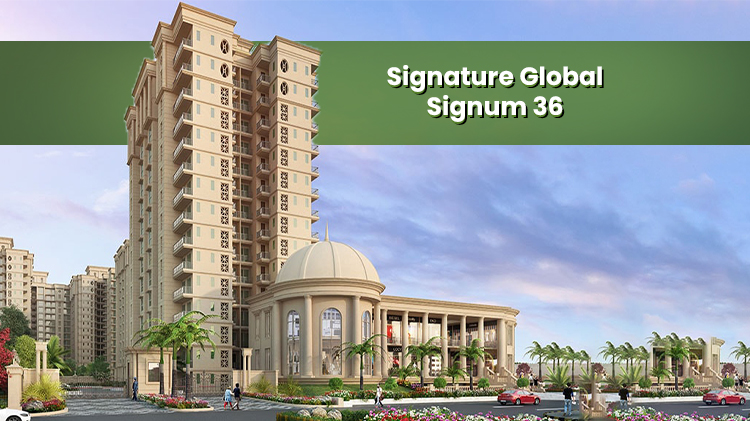 signature global Signum 36