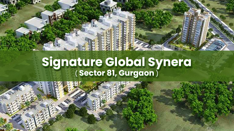 Signature Global Synera 81