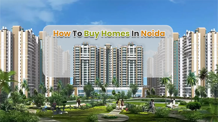 How to Buy Homes in Noida