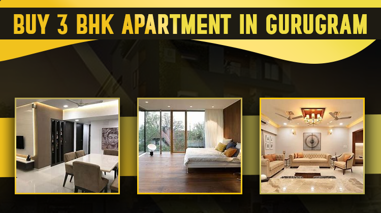Buy 3 BHK Apartment In Gurugram