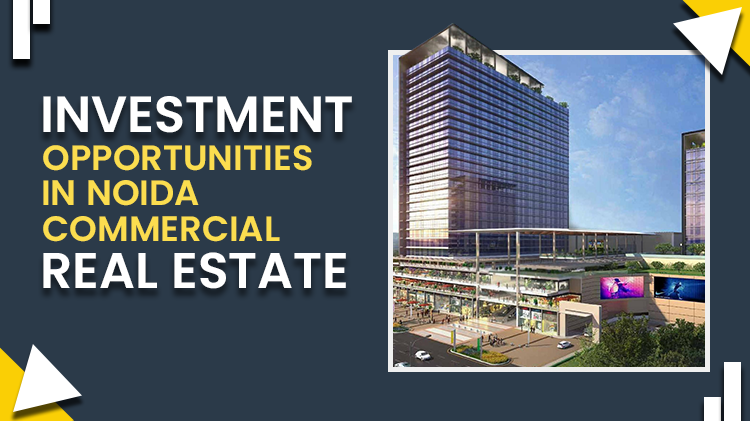 Investment Opportunities in Noida Commercial Real Estate