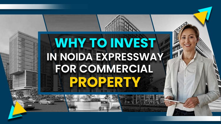 Why to Invest in  Noida Expressway for Commercial Property